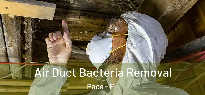  Air Duct Bacteria Removal Pace - FL