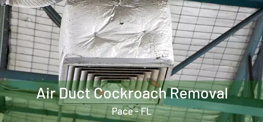  Air Duct Cockroach Removal Pace - FL