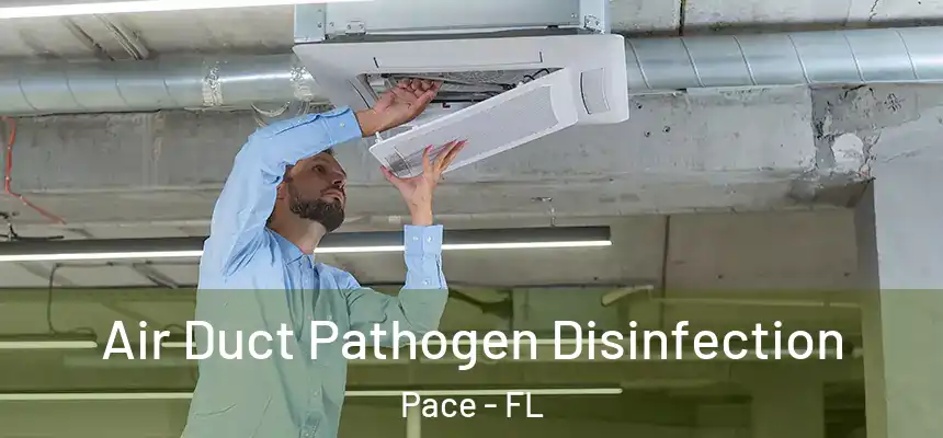  Air Duct Pathogen Disinfection Pace - FL