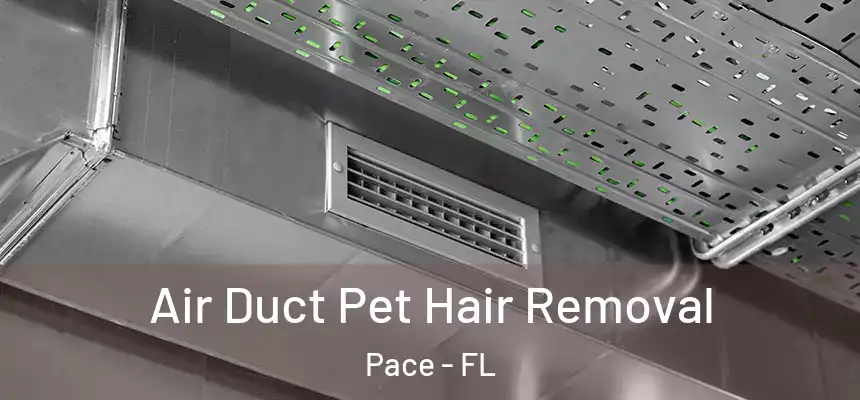  Air Duct Pet Hair Removal Pace - FL