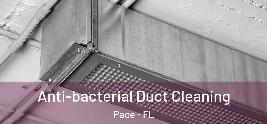  Anti-bacterial Duct Cleaning Pace - FL