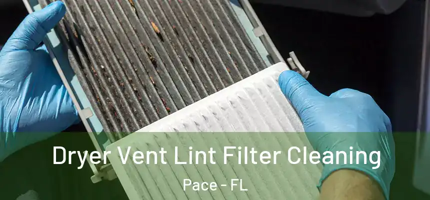  Dryer Vent Lint Filter Cleaning Pace - FL