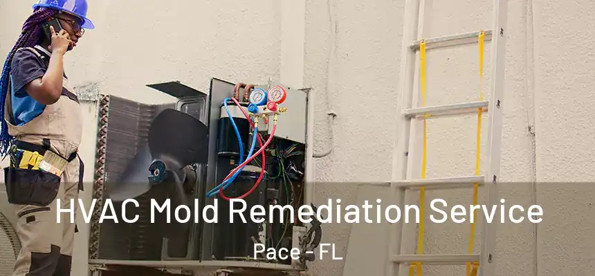 HVAC Mold Remediation Service Pace - FL