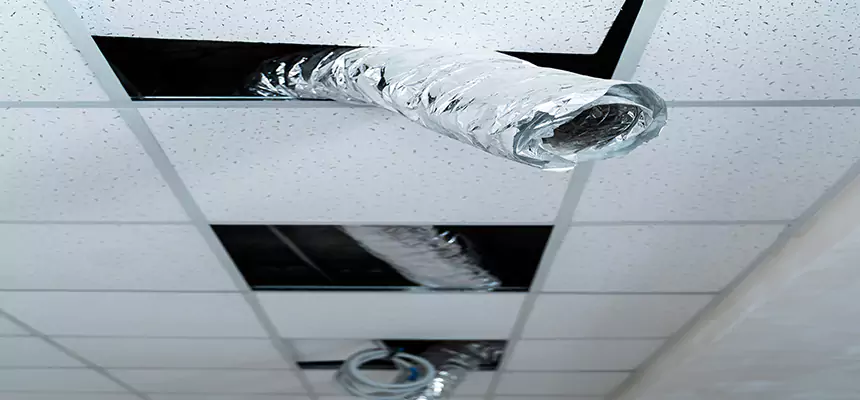 Our Air Duct Pet Hair Removal Services in Pace, FL