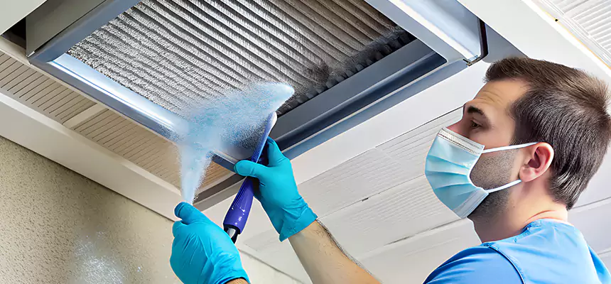Proactive Dryer Vent & Auxiliary Duct Pollen Cleanup in Pace, FL
