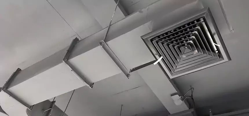 Restorative Allergy Relief Vent Cleaning – Coil, Blower & Housing Detail in Pace