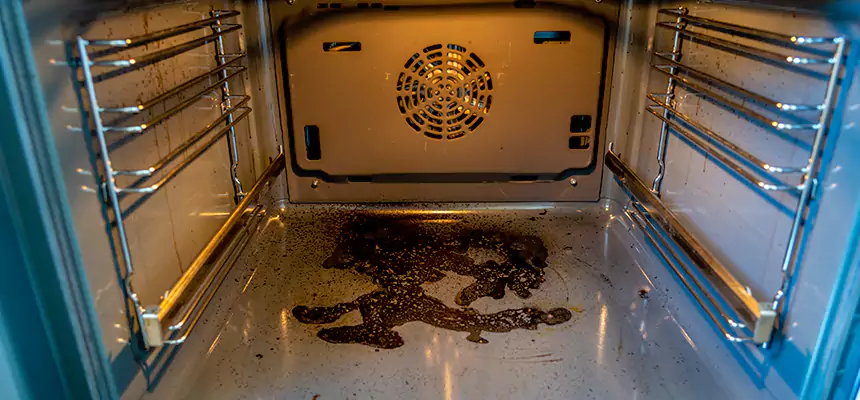 Our Dryer Vent Mold Cleaning Services in Pace, FL