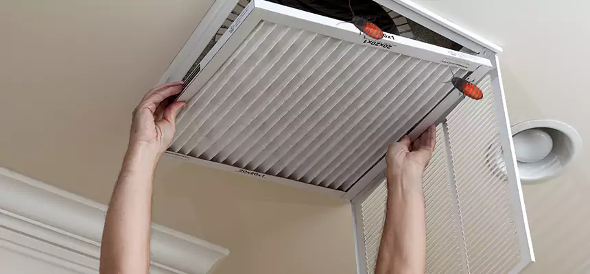 Our Insect Removal from Air Ducts Services in Pace, FL