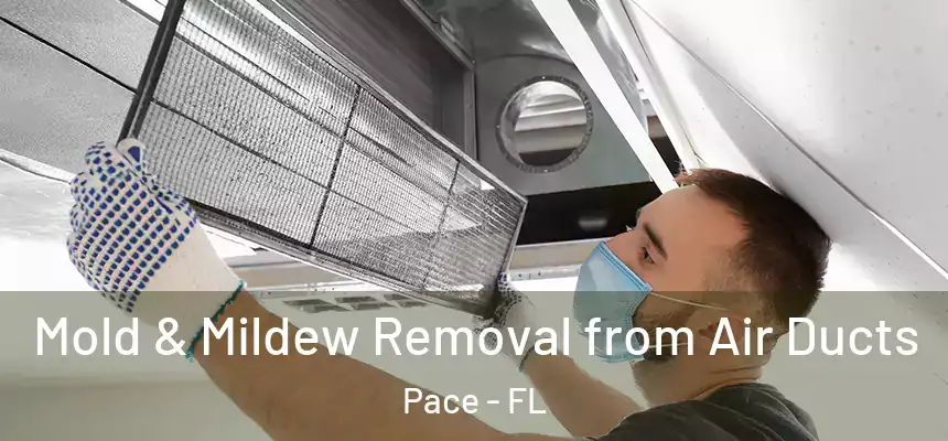  Mold & Mildew Removal from Air Ducts Pace - FL