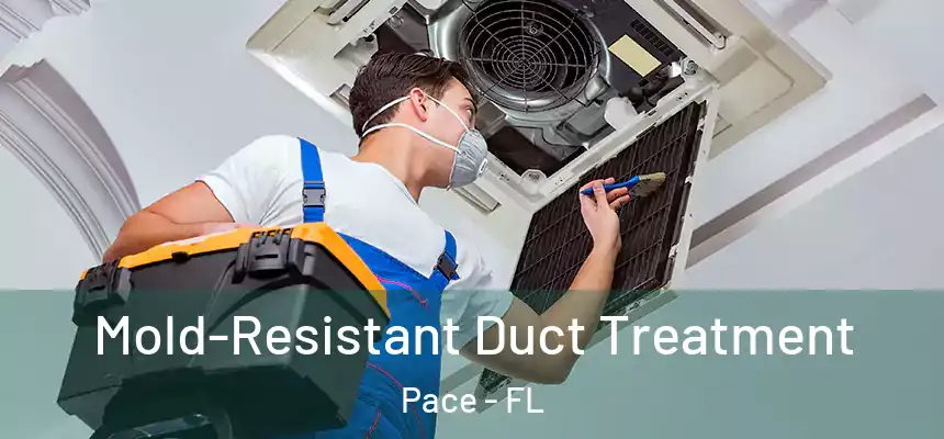  Mold-Resistant Duct Treatment Pace - FL