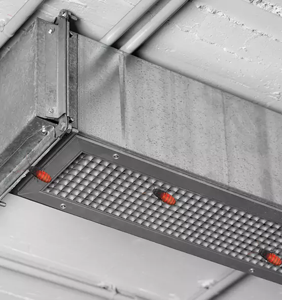 About Air Duct Cockroach Removal in Pace, FL