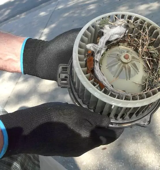 About Air Duct Mice Removal in Pace, FL