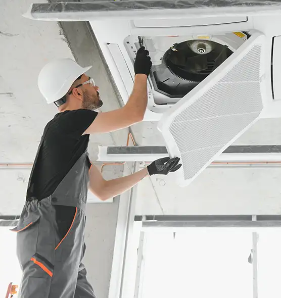 About Air Duct Rodent Removal in Pace, FL