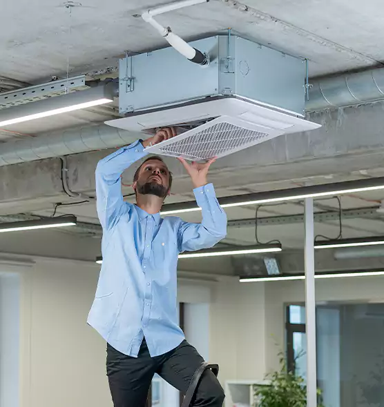 Advanced Rodent Droppings In Vents in Pace, FL