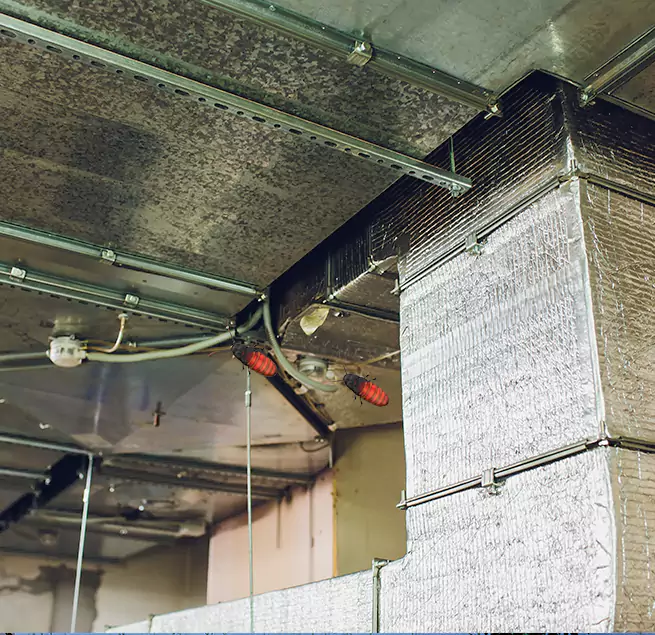 Why Homeowners & Businesses Trust Us in Pace, FL?