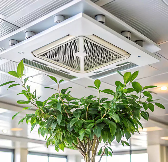 Why Homeowners & Businesses Trust Us in Pace, FL?