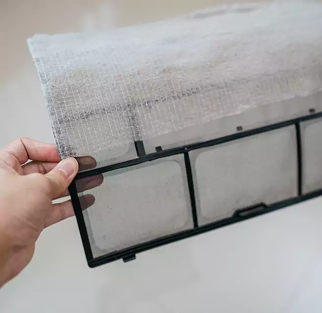 Why Homeowners & Businesses Trust Us in Pace, FL?