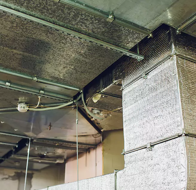 Why Homeowners & Businesses Trust Us in Pace, FL?