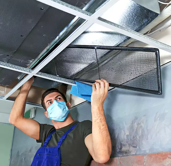 Why Homeowners Businesses Trust Us in Pace, FL